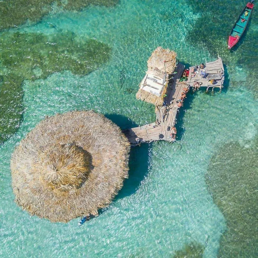 Rock Side Villa On The Beach Treasure Beach Jamaica